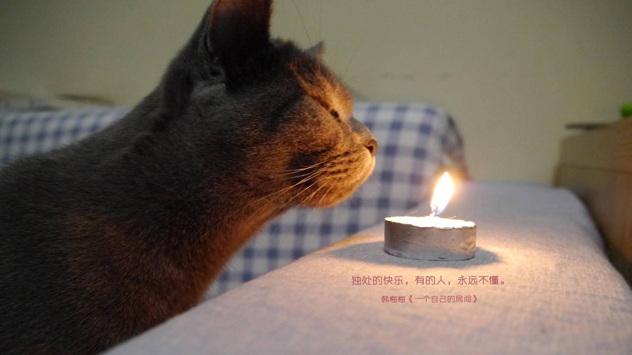 快手低价代网站刷业务