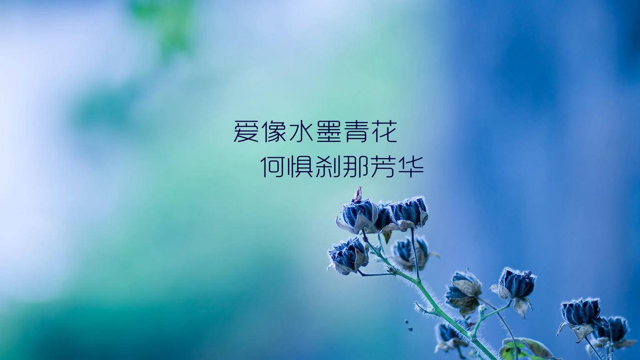 呱呱代网刷-QQ业务
