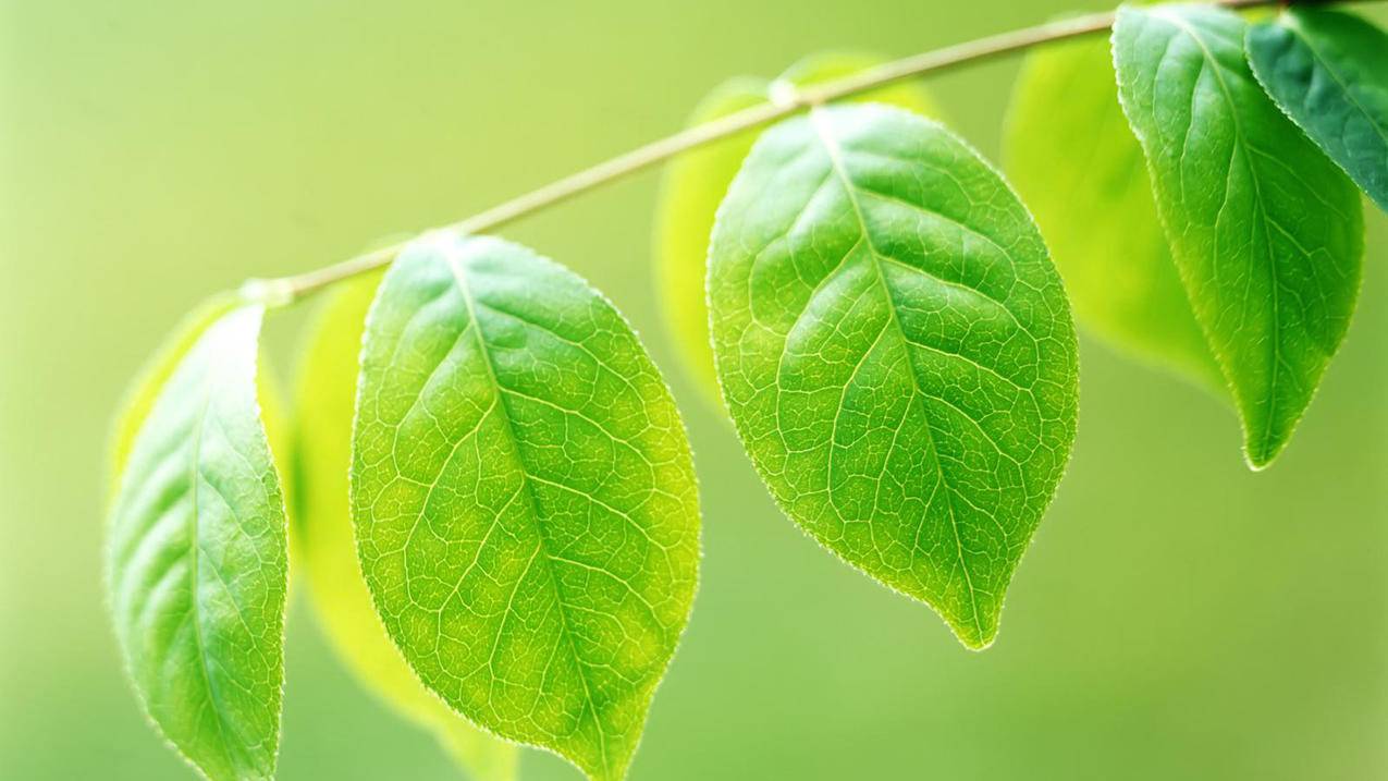 qq空间访客量0.1元一万 - 刷赞网站代刷,说说赞自助下单免费